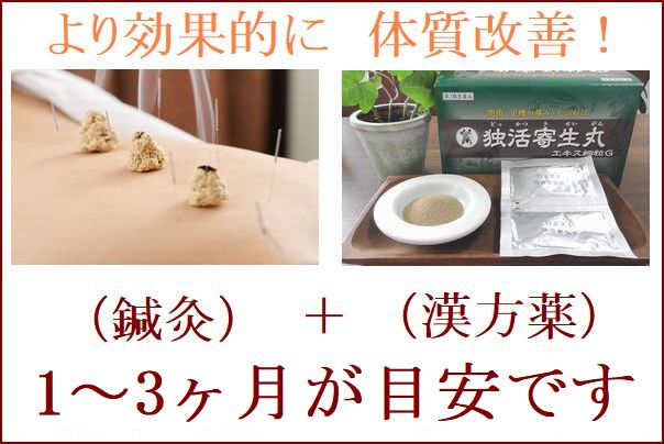 頭痛 燕三条駅から3分 鍼灸 漢方薬で体質改善 自律神経へアプローチ 鍼灸 漢方薬 はりの響き